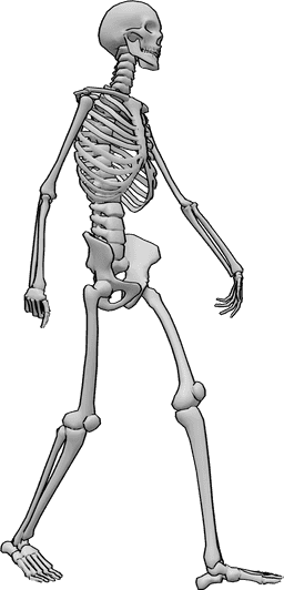 Riferimento alle pose- Posa dello scheletro che cammina - Lo scheletro cammina tranquillo in posa