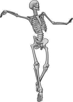 Posen-Referenz- Skelett Bauchtanz Pose - Das Skelett genießt den Bauchtanz und schaut nach links