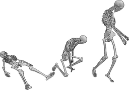 Referência de poses- Pose do esqueleto ambulante - Um esqueleto assustador levanta-se do seu caixão e vai-se embora