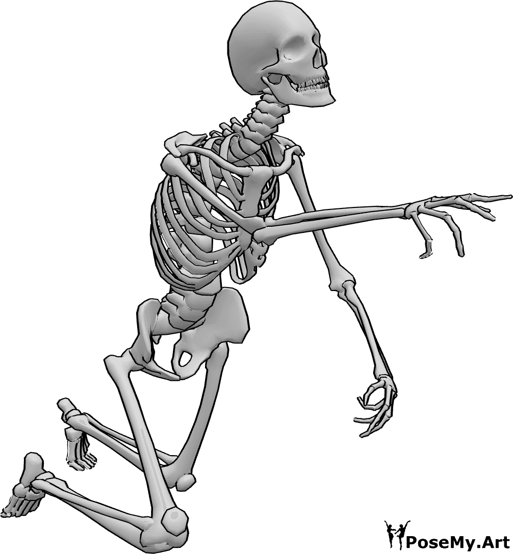 Pose Reference- Crawling skeleton pose - Skeleton is crawling and haunting pose