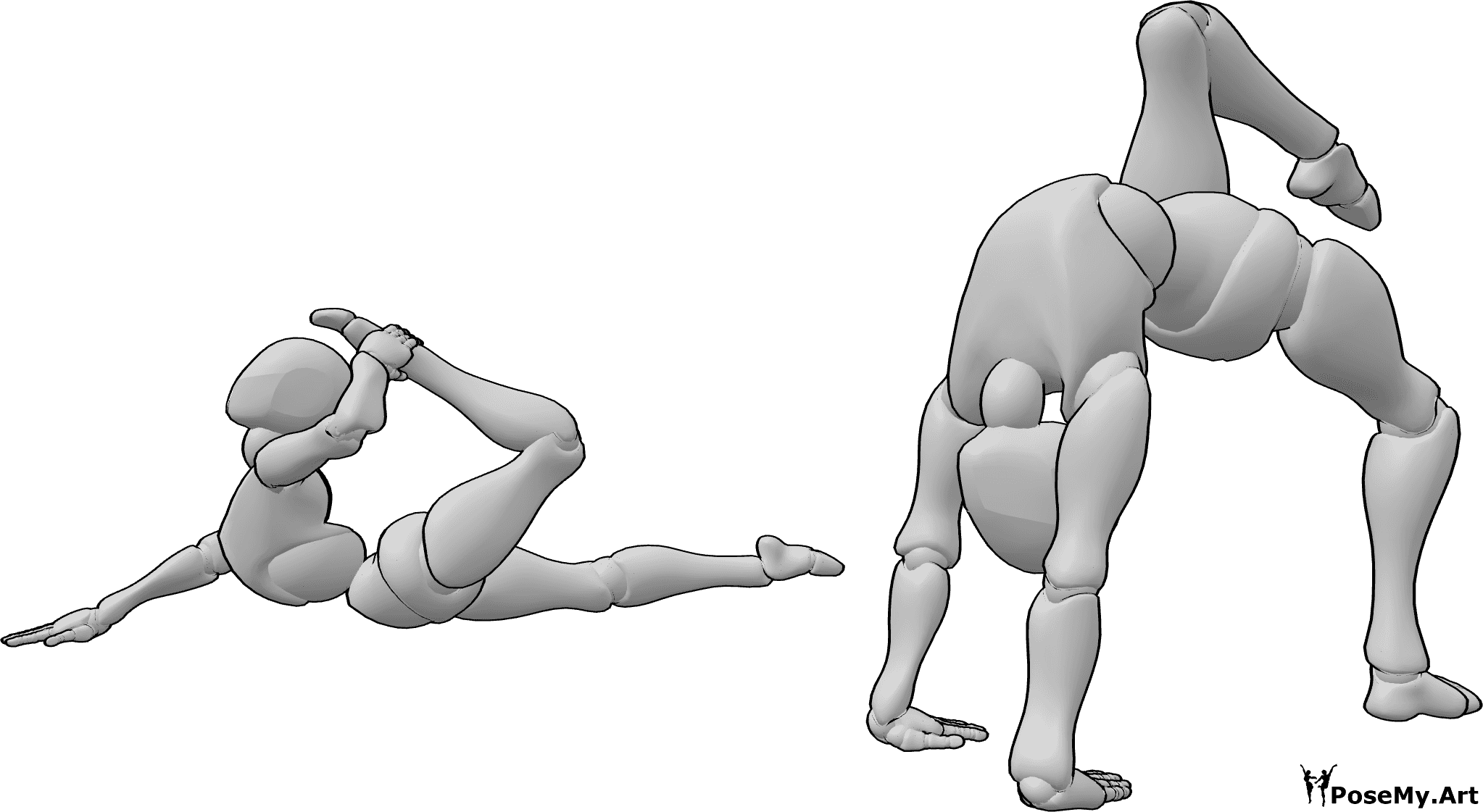 Pose Reference - Female gymnastics pose - Flexible athletic females are exercising gymnastics and yoga poses