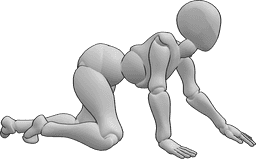 Référence des poses- Pose des genoux rampants de la femme - La femelle rampe sur les genoux, en s'aidant des paumes et des genoux.
