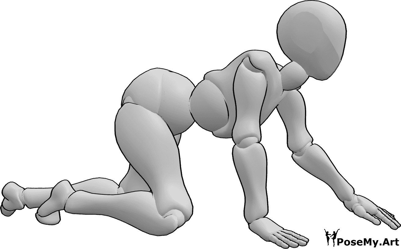 Référence des poses- Pose des genoux rampants de la femme - La femelle rampe sur les genoux, en s'aidant des paumes et des genoux.