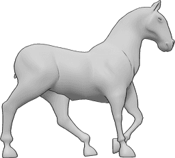 Pose Reference- Horse drawing references