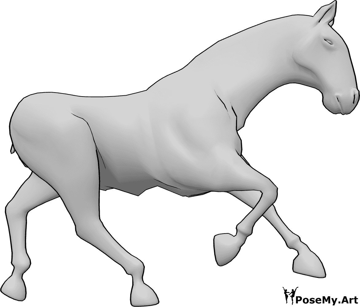 Référence des poses- Cheval au galop - Cheval au galop, regardant vers l'avant, référence de dessin de cheval