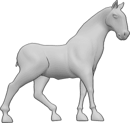 Referência de poses- Pose de cavalo em pé - O cavalo está de pé elegantemente e olha ligeiramente para a direita