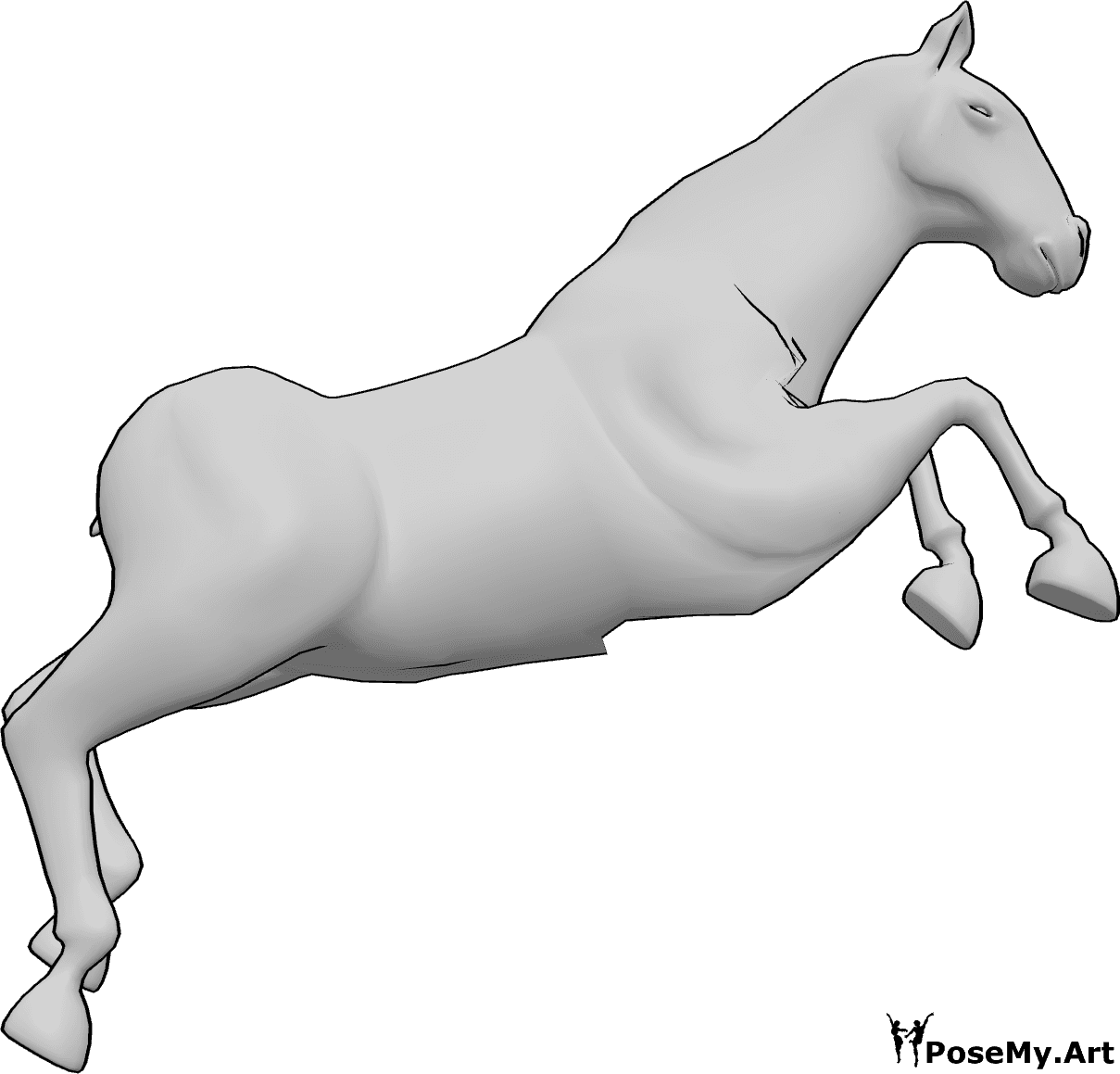 Pose Reference- Horse jumping pose - Horse is jumping high, looking forward, horse jumping drawing reference