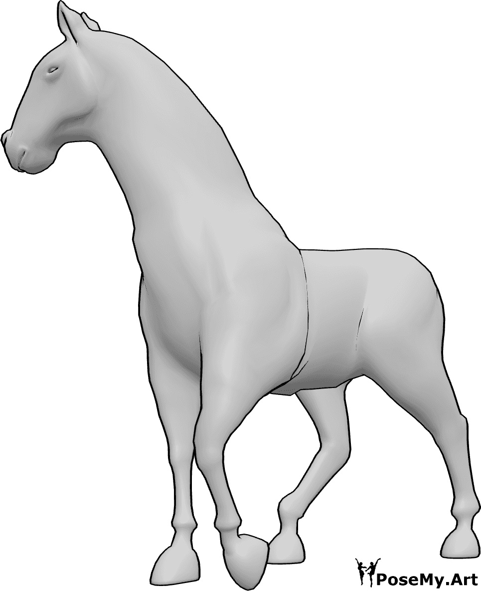 Referência de poses- Pose de andar a cavalo - O cavalo está a andar lentamente e a olhar para a direita