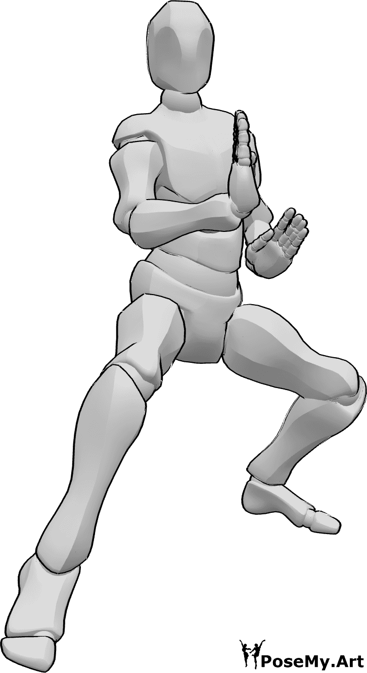 Referência de poses- Pose de karaté pronta para o combate - O homem está pronto para lutar com uma pose de karaté