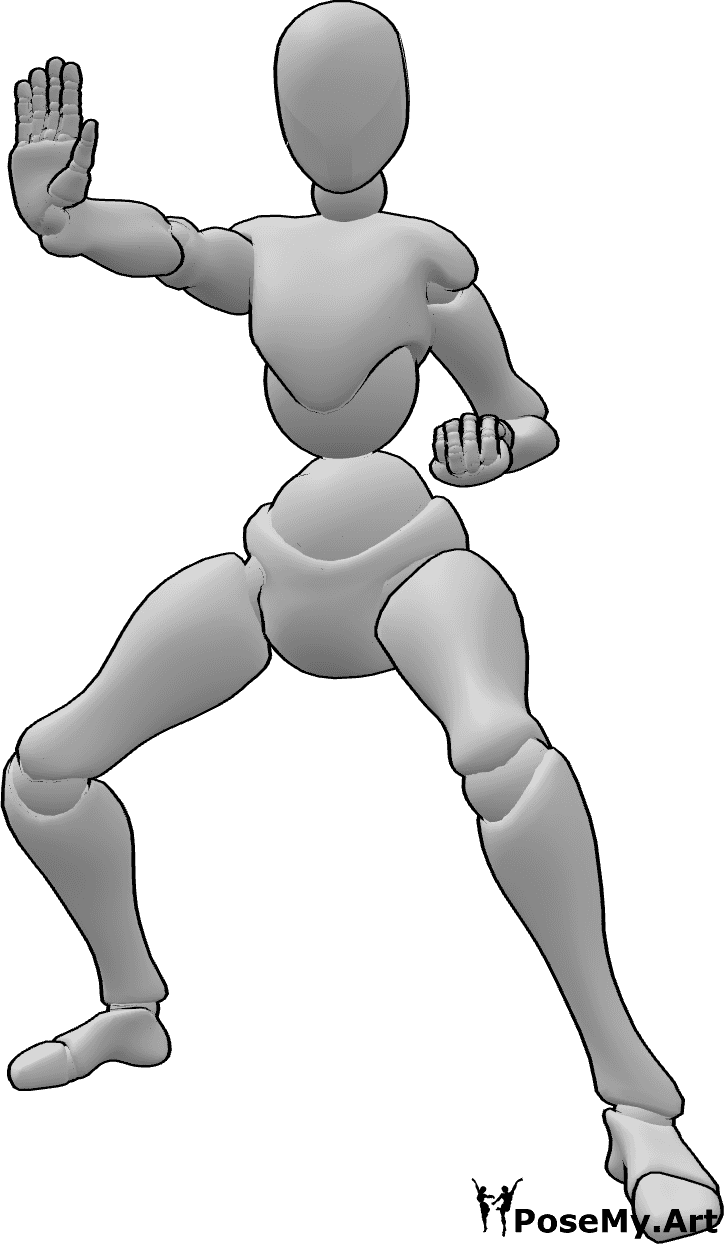 Referencia de poses- Postura femenina de karate de combate - Femenino listo para luchar karate pose