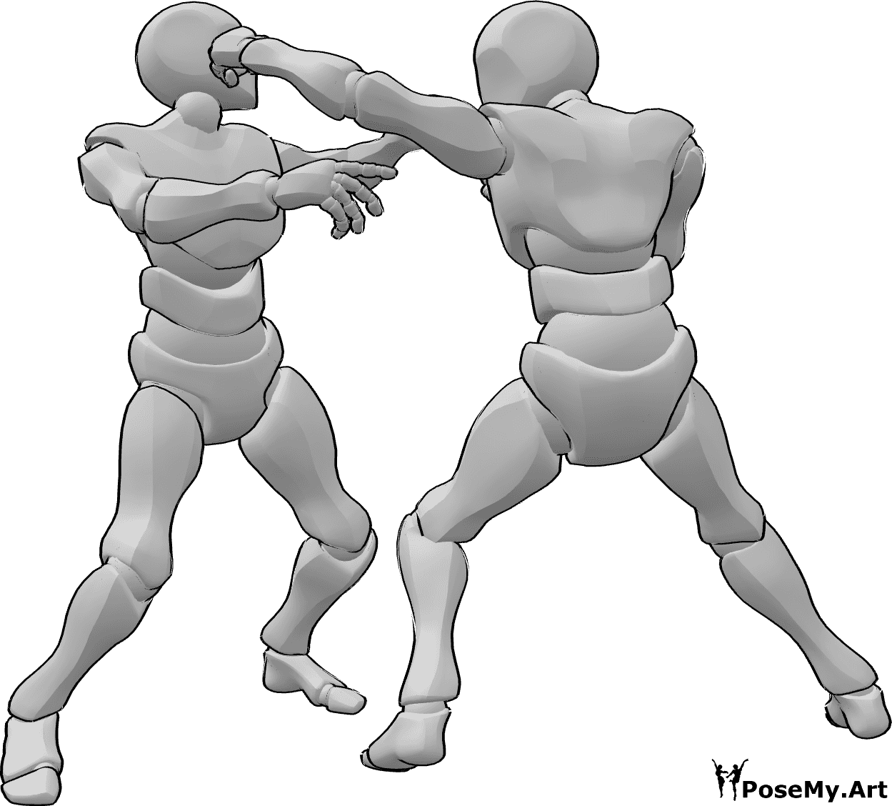 Referencia de poses- Postura de golpe en la cabeza - Machos peleando, uno golpea al otro en la cabeza posan