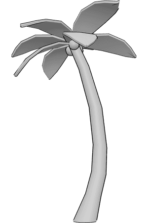 Pose Reference- Palm tree reference - 3D Palm tree drawing reference