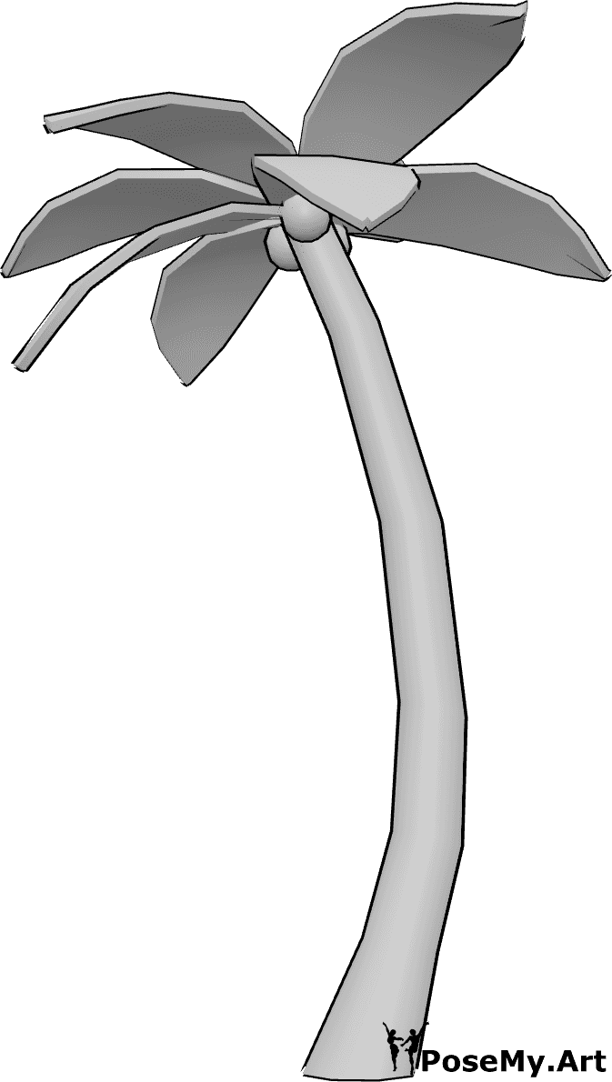 姿势资料- 棕榈树参考资料 - 3D 棕榈树绘图参考