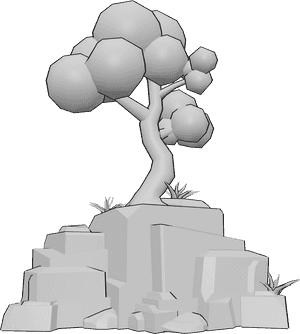 Pose Reference- Rock tree reference - Tree on top of the rock, tree drawing reference