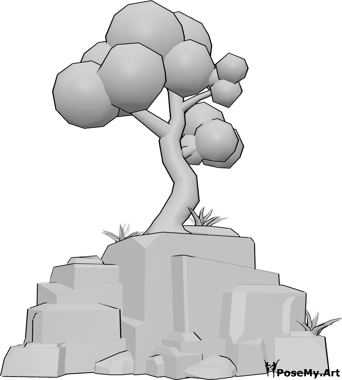 Pose Reference- Rock tree reference - Tree on top of the rock, tree drawing reference