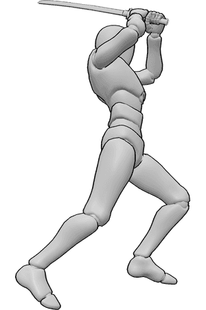 Référence des poses- Poses de lames