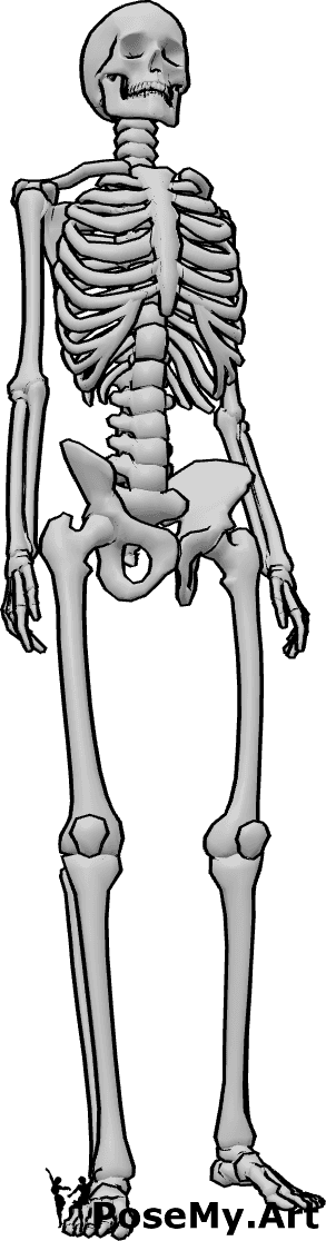 Pose Reference- Human skeleton standing pose - Human skeleton casual standing pose, human skeleton standing drawing reference