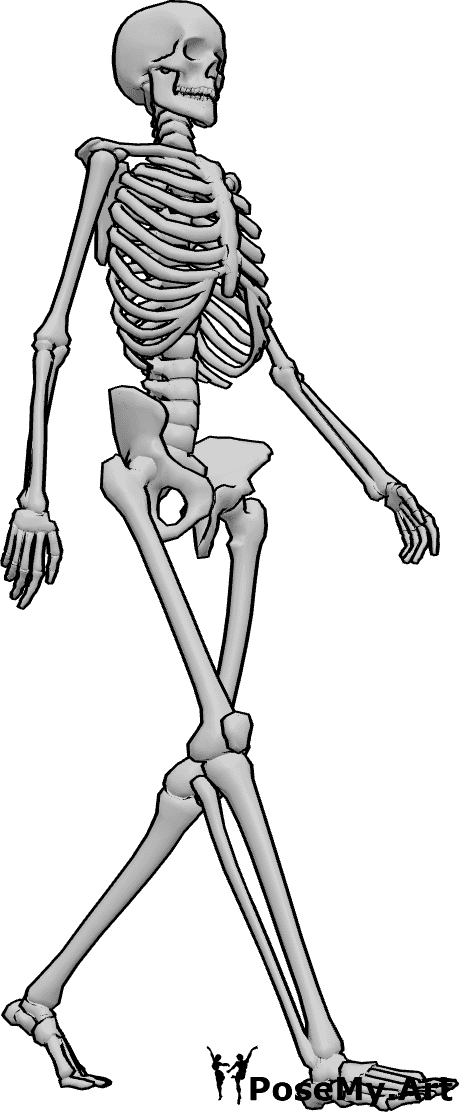 Pose Reference- Human skeleton walking pose - Human skeleton is walking, skeleton walking drawing reference