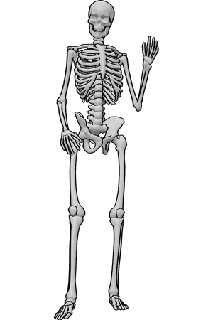 Pose Reference- Human skeleton waving pose - Human skeleton is standing casually and waving with his left hand