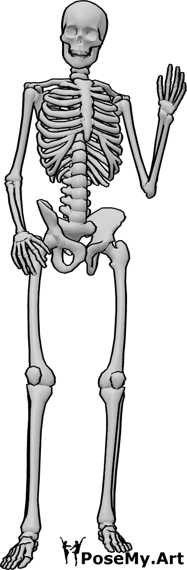 Pose Reference- Human skeleton waving pose - Human skeleton is standing casually and waving with his left hand
