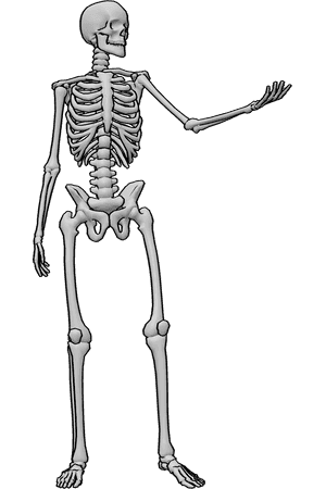 Pose Reference- Human skeleton reaching pose - Human skeleton is standing and reaching out with his left hand