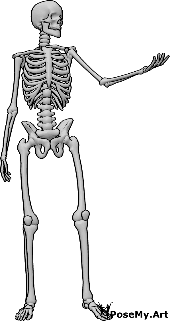 Pose Reference- Human skeleton reaching pose - Human skeleton is standing and reaching out with his left hand