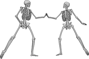 Pose Reference- Human skeleton dancing pose - Human skeletons are dancing, touching each other's hands
