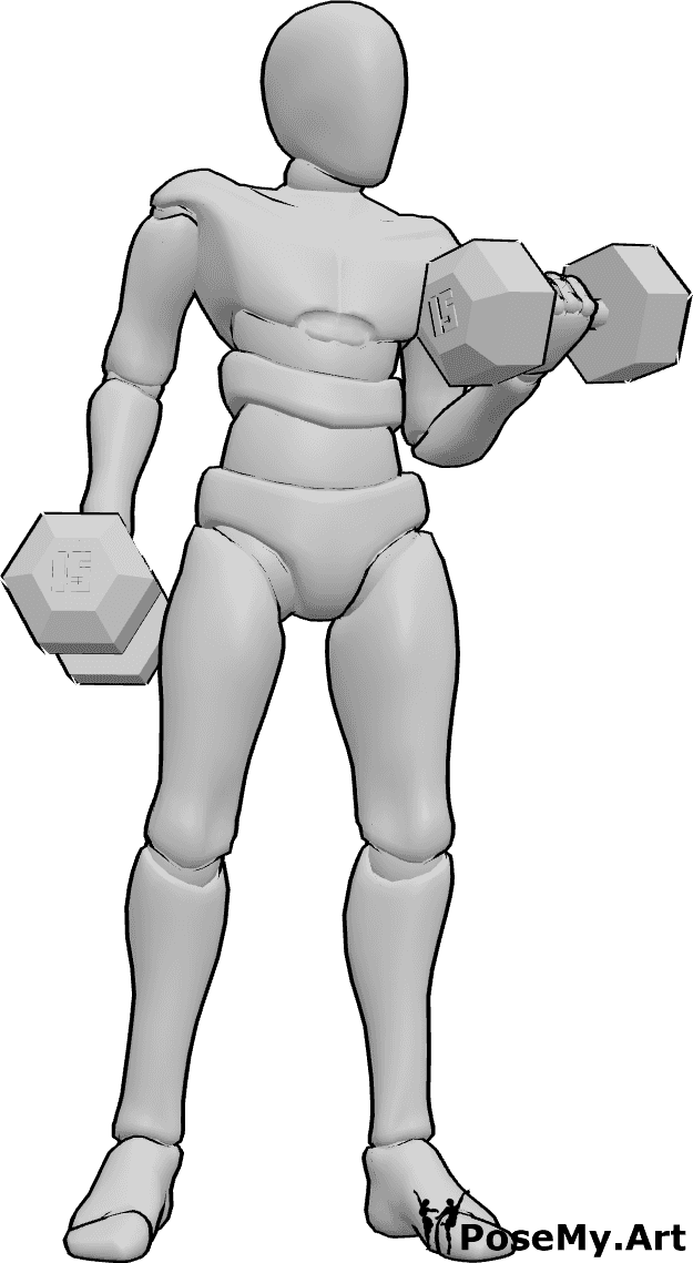 Pose Reference- Male lifting weights pose - Male is lifting weights, holding dumbbells in both hands