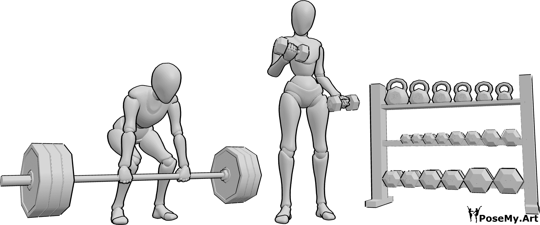 Pose Reference- Females lifting pose - Two females are training together: one female is lifting a barbell, while the other female is lifting dumbbells