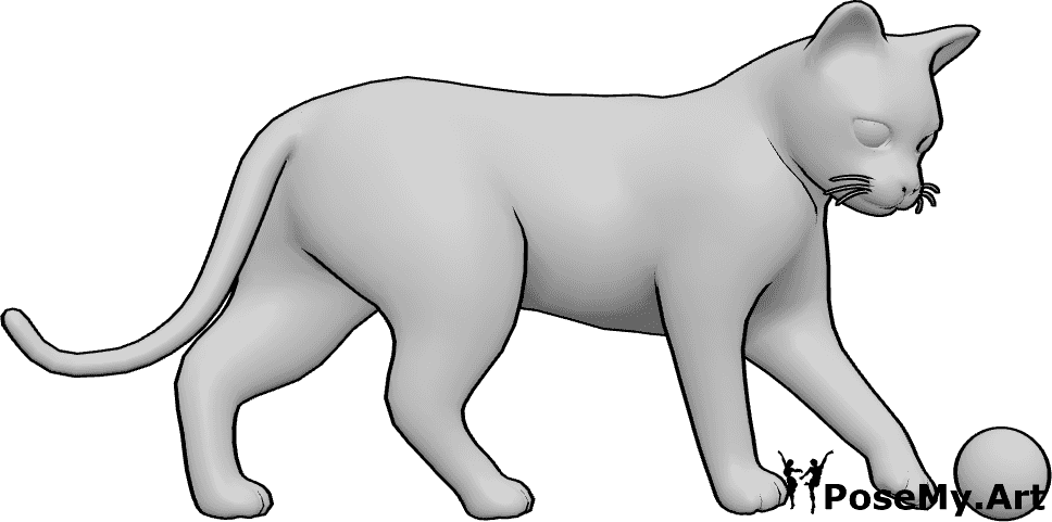 Pose Reference- Cat playing pose - Cat is playing with a small ball, playing cat drawing reference