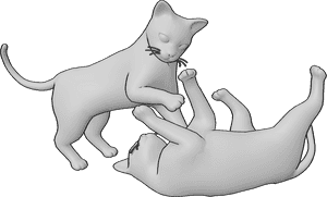 Pose Reference- Cats playing pose - Two cats are playing, one of them is lying down, playfully slapping each other