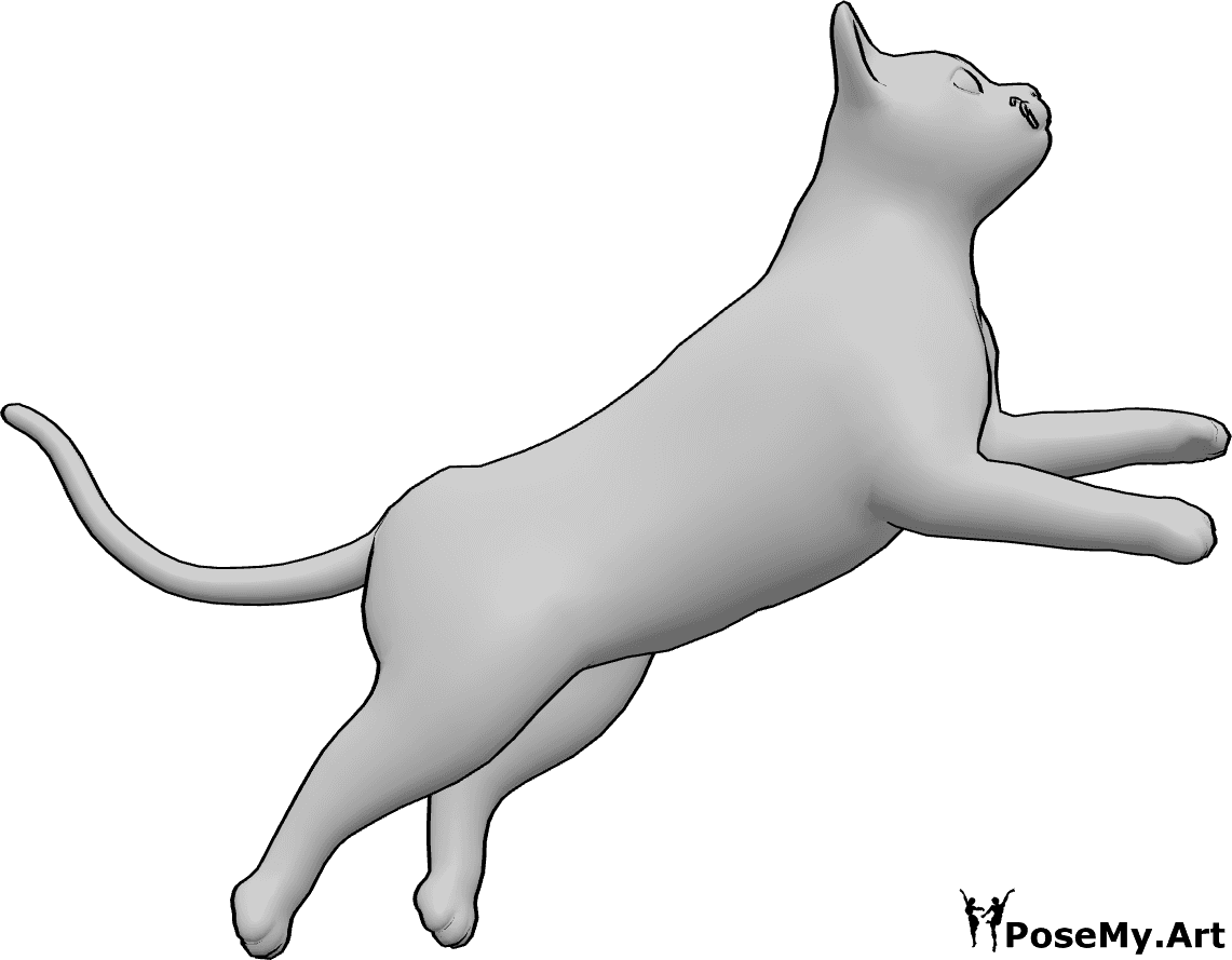 Pose Reference- Cat jumping pose - Cat is jumping, looking slightly upward