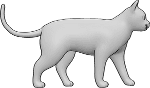 Pose Reference- Cat walking pose - Cat is walking slowly and casually, cat pose reference