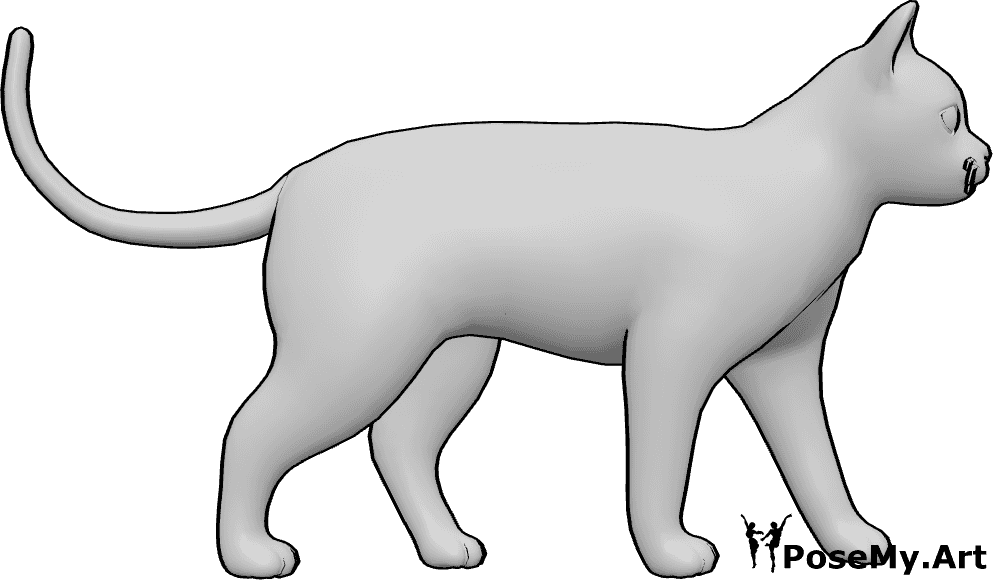 Pose Reference- Cat walking pose - Cat is walking slowly and casually, cat pose reference