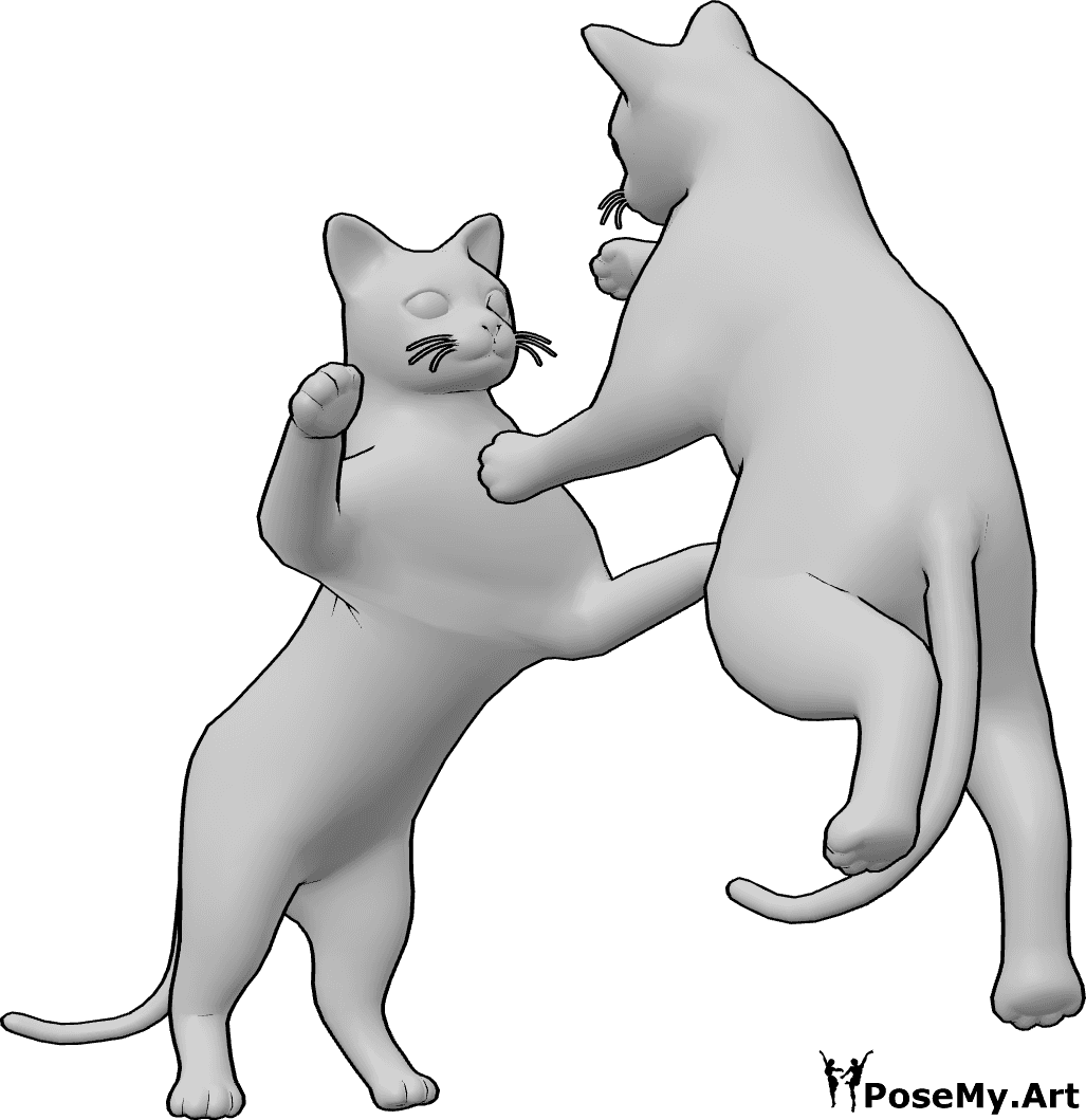 Pose Reference- Cats fighting pose - Two cats are fighting, one of them is jumping