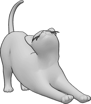 Pose Reference- Cat stretching pose - Cat is stretching, extending its paws and looking up