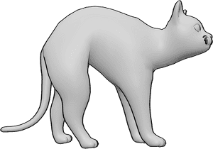 Pose Reference- Cat scared pose - Cat is scared, tucking its tail in and watching intently