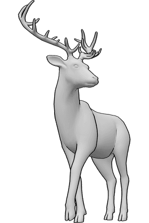 Pose Reference- Deer drawing reference
