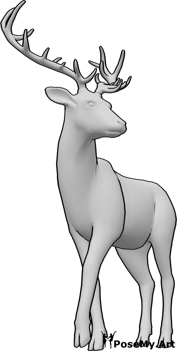 Pose Reference- Calm deer pose - Deer is standing calmly and looking slightly to the left