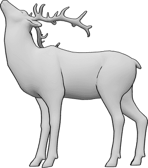 Pose Reference- Deer upward gaze pose - Deer is standing still and looking upward