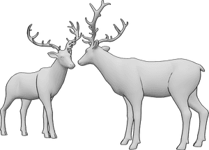 Pose Reference- Deer meeting pose - Two deer are meeting and slowly sniffing each other