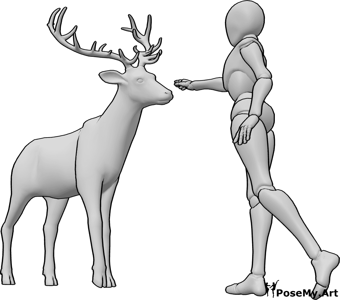 Pose Reference- Female meeting deer pose - Female is gently reaching out, trying to touch the deer