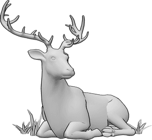 Pose Reference- Deer resting pose - Deer is lying peacefully and looking slightly to the left