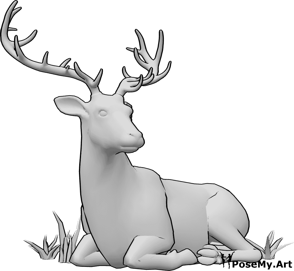 Pose Reference- Deer resting pose - Deer is lying peacefully and looking slightly to the left