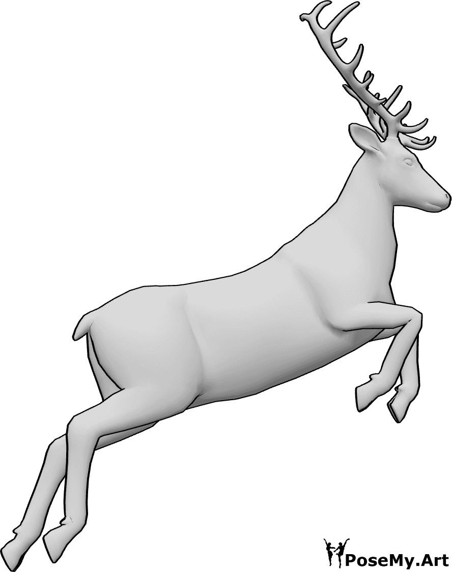 Pose Reference- Deer forward leap pose - Deer is jumping high, body lifted and facing straight forward
