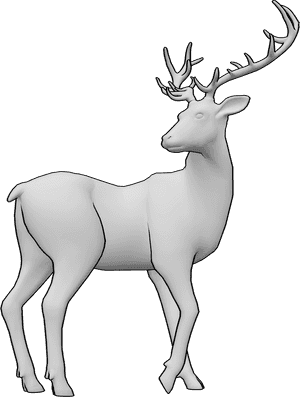 Pose Reference- Deer backward glance pose - Deer is standing calmly and looking back