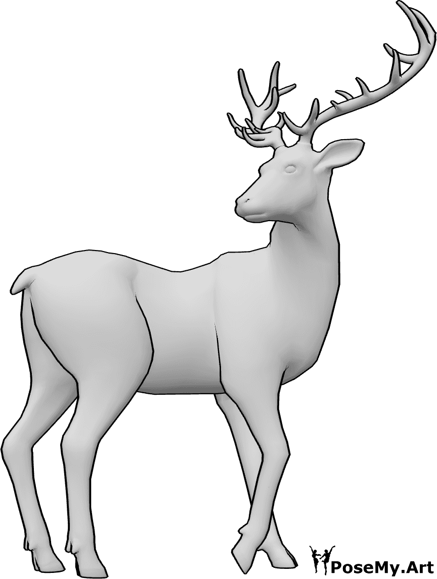 Pose Reference- Deer backward glance pose - Deer is standing calmly and looking back