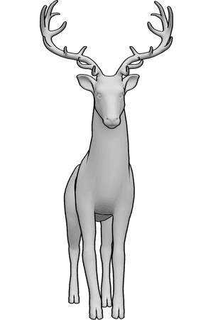 Pose Reference- Deer frontal stance pose - Deer is standing upright and looking straight ahead
