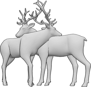 Pose Reference- Deer embracing pose - Two deer are embracing each other gently