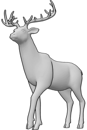 Pose Reference- Deer pose - Deer is standing calmly with its head slightly raised